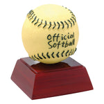RS Baseball/Softball Resin