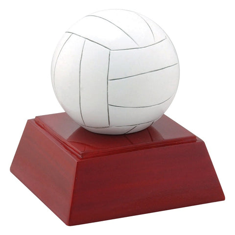 RS Volleyball Resin
