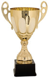 Completed Metal Cup Trophy on Plastic Base (CMC705/4/3/2/1)