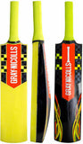 Gray Nicolls Cloud Catcher Training Bat