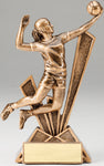 Volleyball Checkmate Resin (RF1924/RF1925)