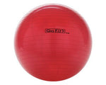 Stability Ball with Pump